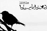 Little Blackbird Thumbnail